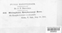 Image Associated With the Occurence